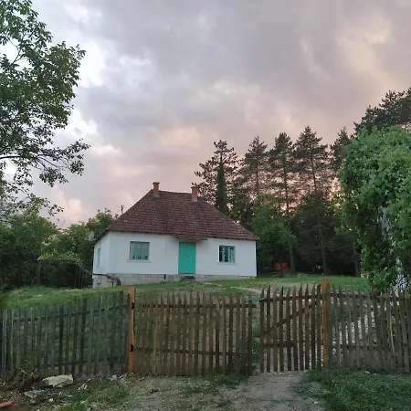 Stala La La *