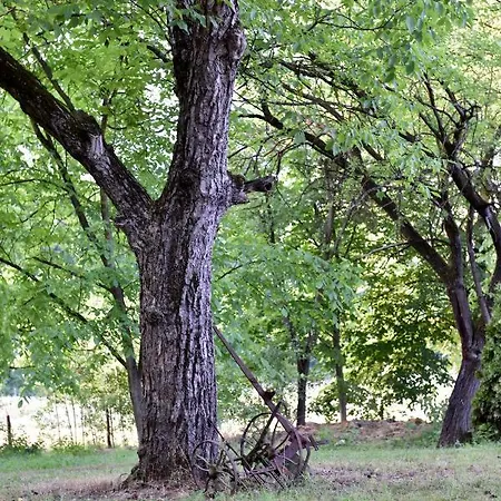 Farmház Stala La La *