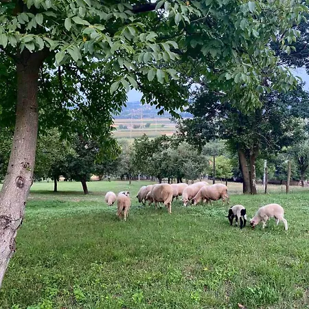 Stala La La