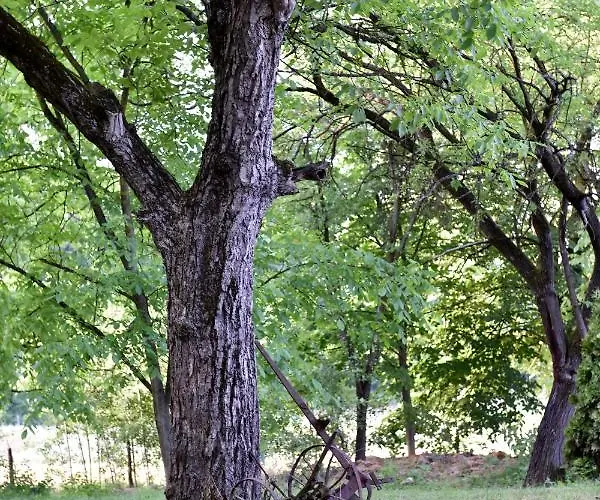 农家乐 Stala La La *